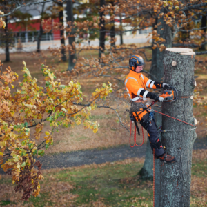 Husqvarna 550i XP® G